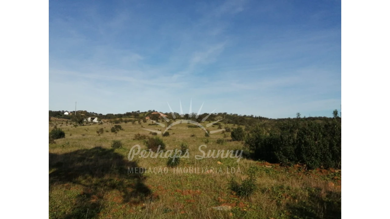 Terreno para Venda em Azinheira dos Barros e São Mamede do Sádão Foto 13