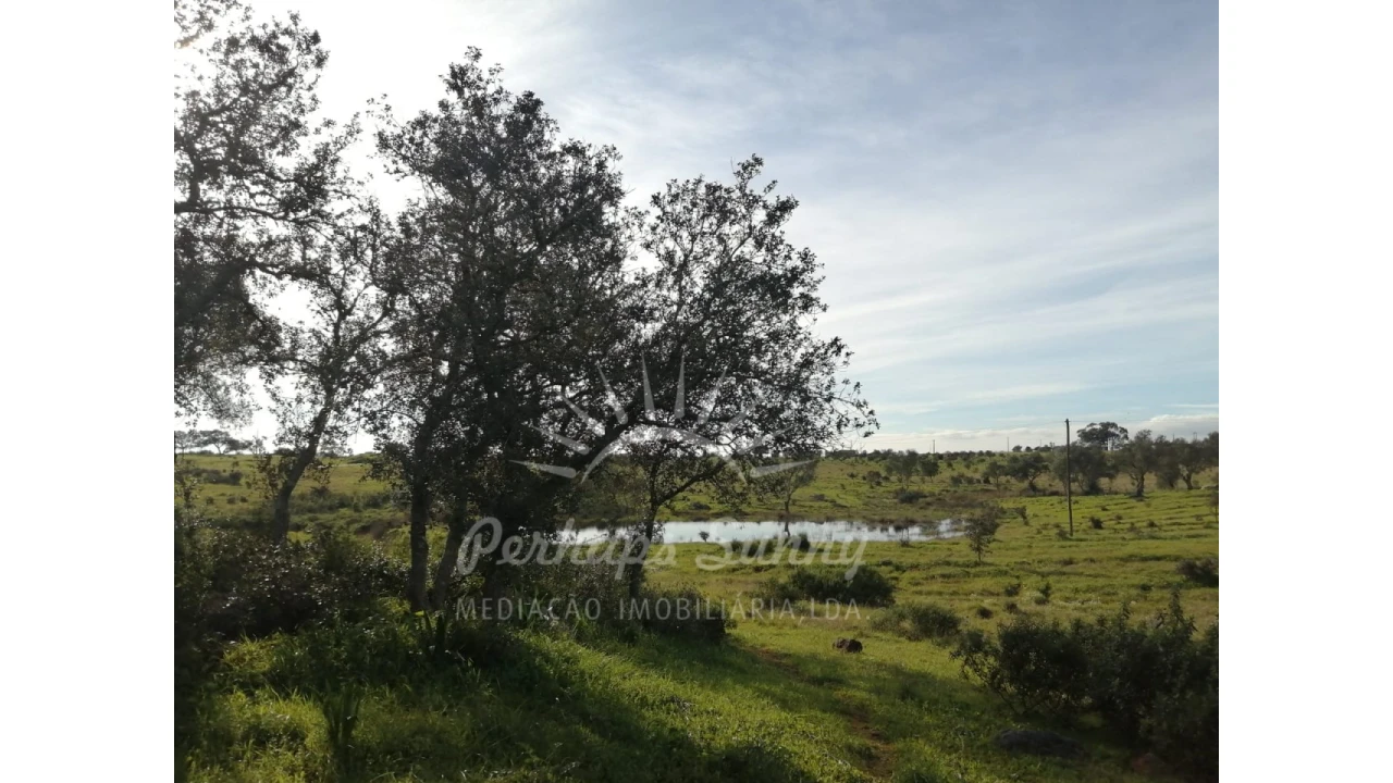 Terreno para Venda em Azinheira dos Barros e São Mamede do Sádão Foto 16
