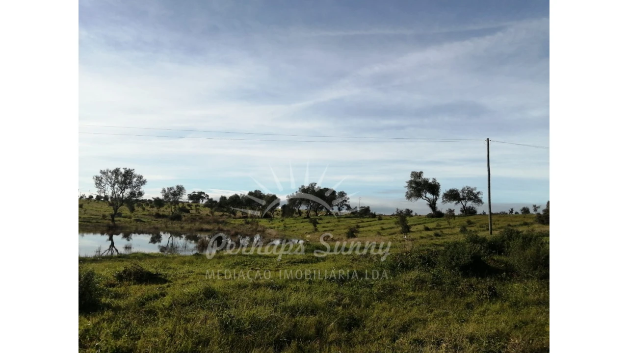 Terreno para Venda em Azinheira dos Barros e São Mamede do Sádão Foto 4