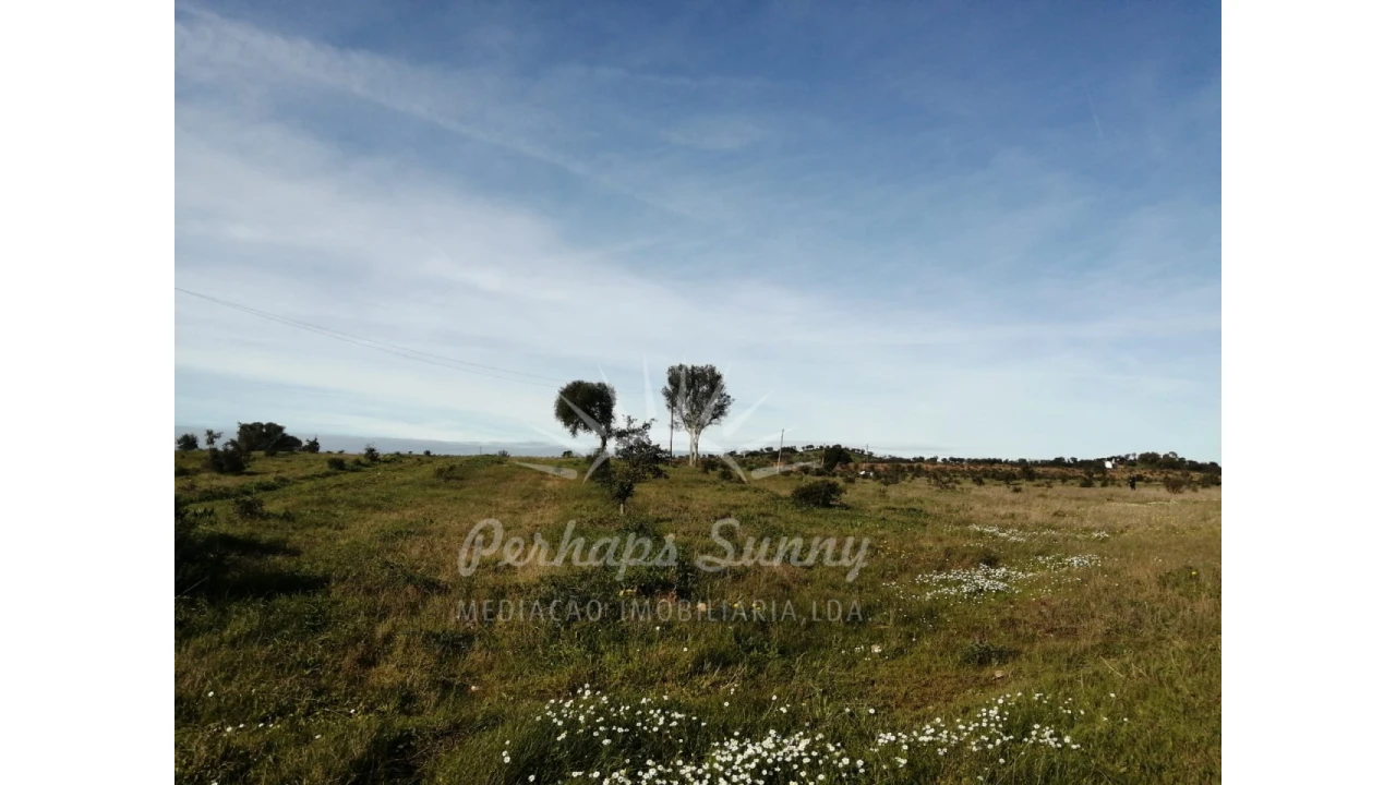 Terreno para Venda em Azinheira dos Barros e São Mamede do Sádão Foto 17