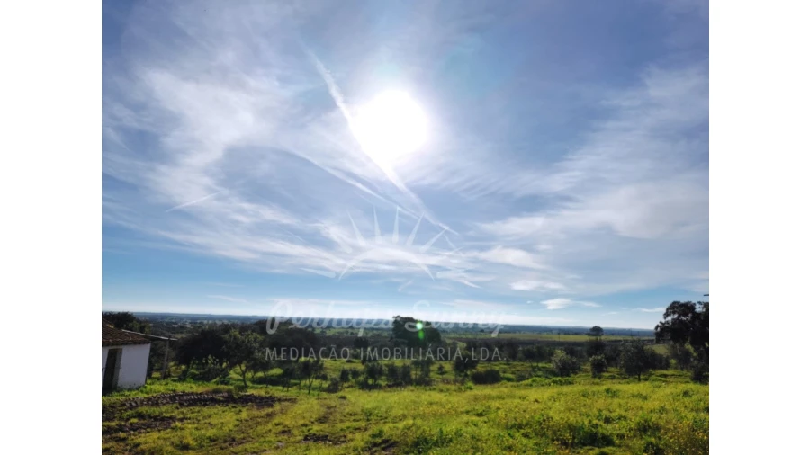 Terreno para Venda em Azinheira dos Barros e São Mamede do Sádão Foto 8
