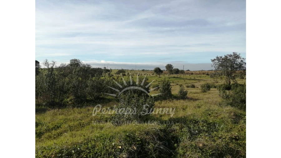 Terreno para Venda em Azinheira dos Barros e São Mamede do Sádão Foto 14