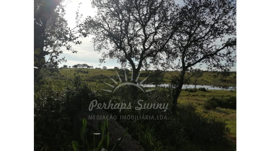 Terreno para Venda em Azinheira dos Barros e São Mamede do Sádão Foto 15