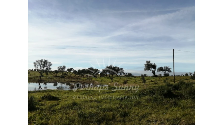 Terreno para Venda em Azinheira dos Barros e São Mamede do Sádão Foto 4