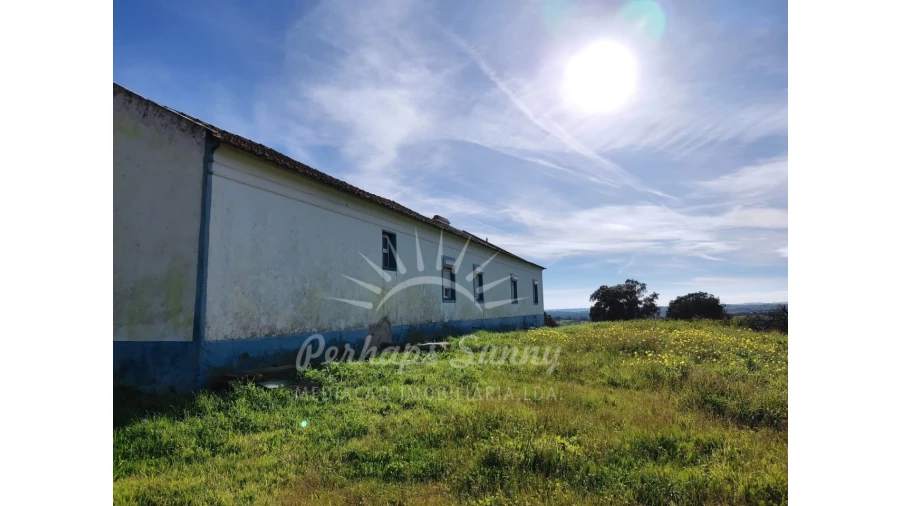 Terreno para Venda em Azinheira dos Barros e São Mamede do Sádão Foto 5
