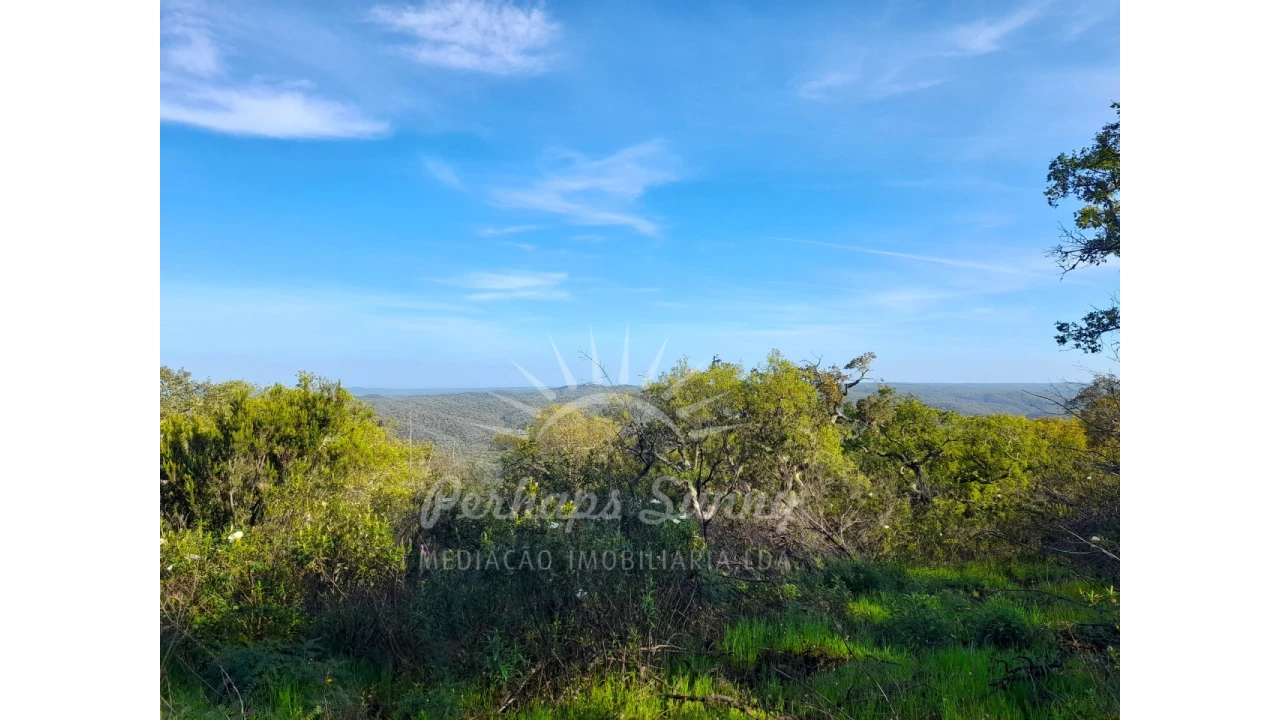 Terreno Agricola ou Rústico para Venda em Grândola e Santa Margarida da Serra Foto 2