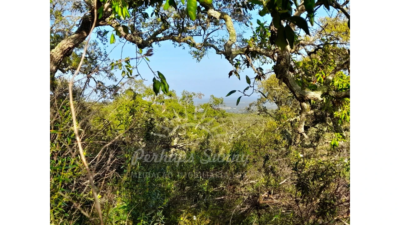 Terreno Agricola ou Rústico para Venda em Grândola e Santa Margarida da Serra Foto 15