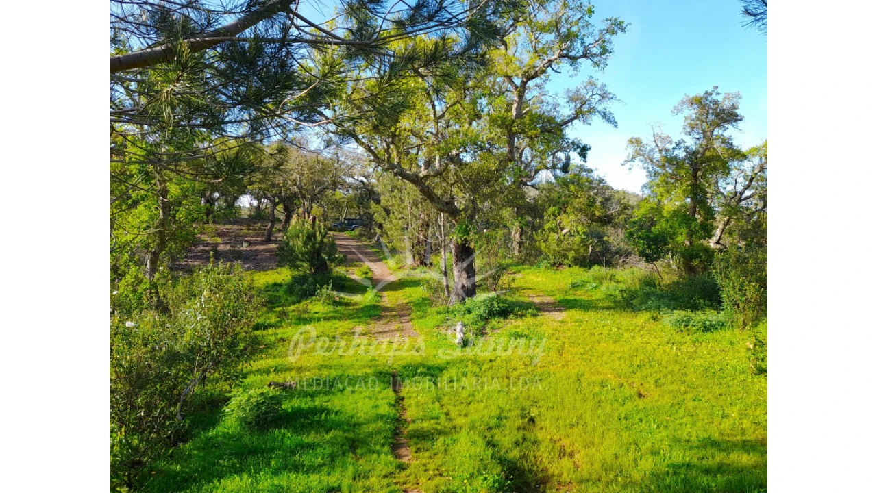 Terreno Agricola ou Rústico para Venda em Grândola e Santa Margarida da Serra Foto 17