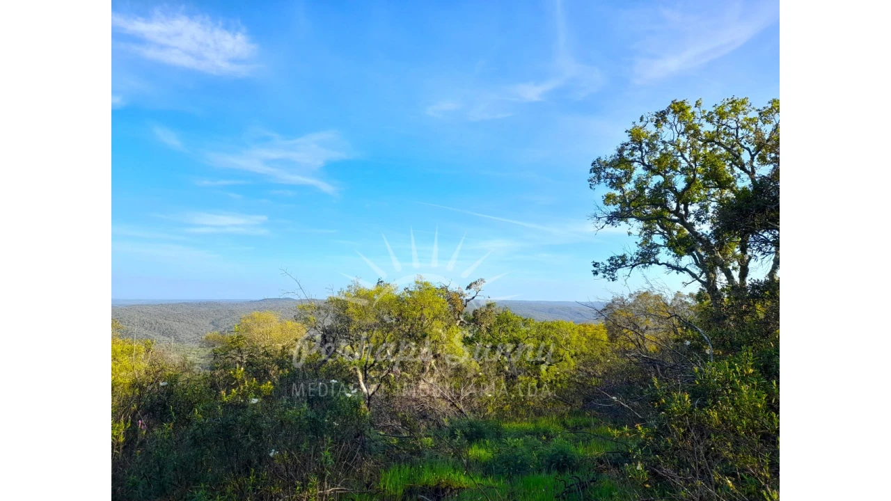 Terreno Agricola ou Rústico para Venda em Grândola e Santa Margarida da Serra Foto 22