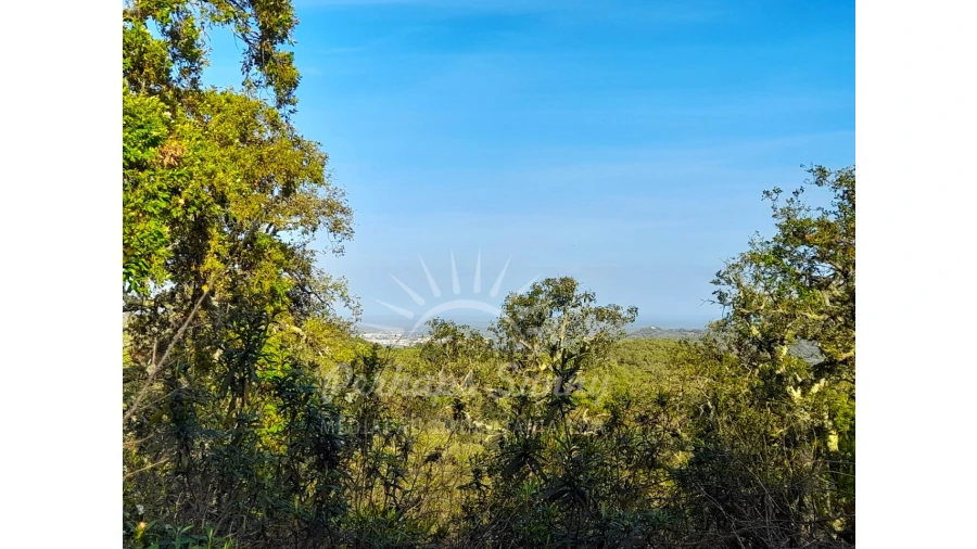 Terreno Agricola ou Rústico para Venda em Grândola e Santa Margarida da Serra Foto 12