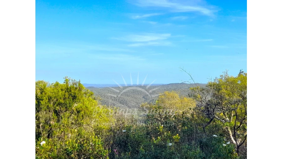 Terreno Agricola ou Rústico para Venda em Grândola e Santa Margarida da Serra Foto 16