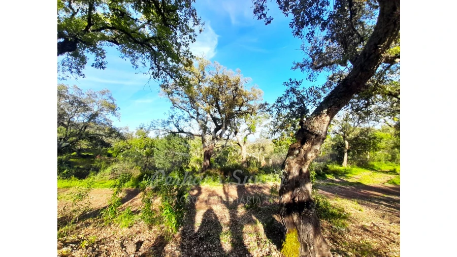 Terreno Agricola ou Rústico para Venda em Grândola e Santa Margarida da Serra Foto 24