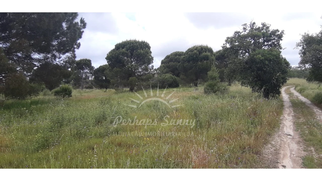 Terreno Agricola ou Rústico para Venda em Melides Foto 3