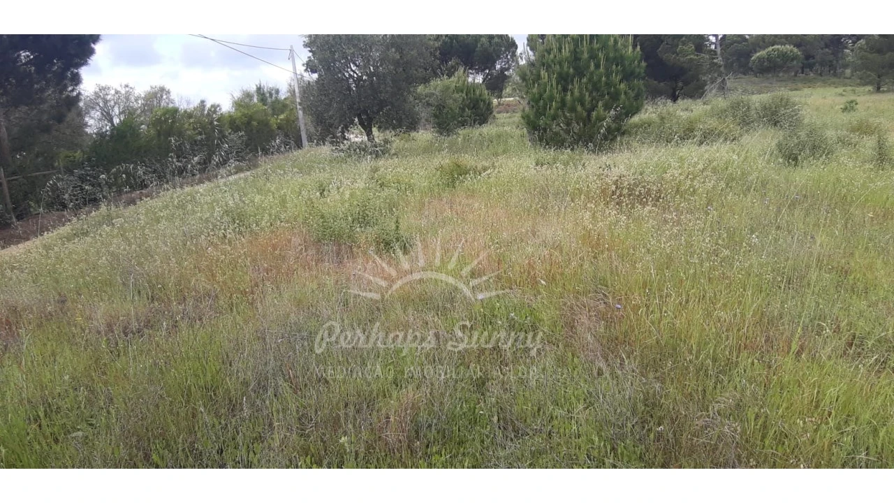 Terreno Agricola ou Rústico para Venda em Melides Foto 4