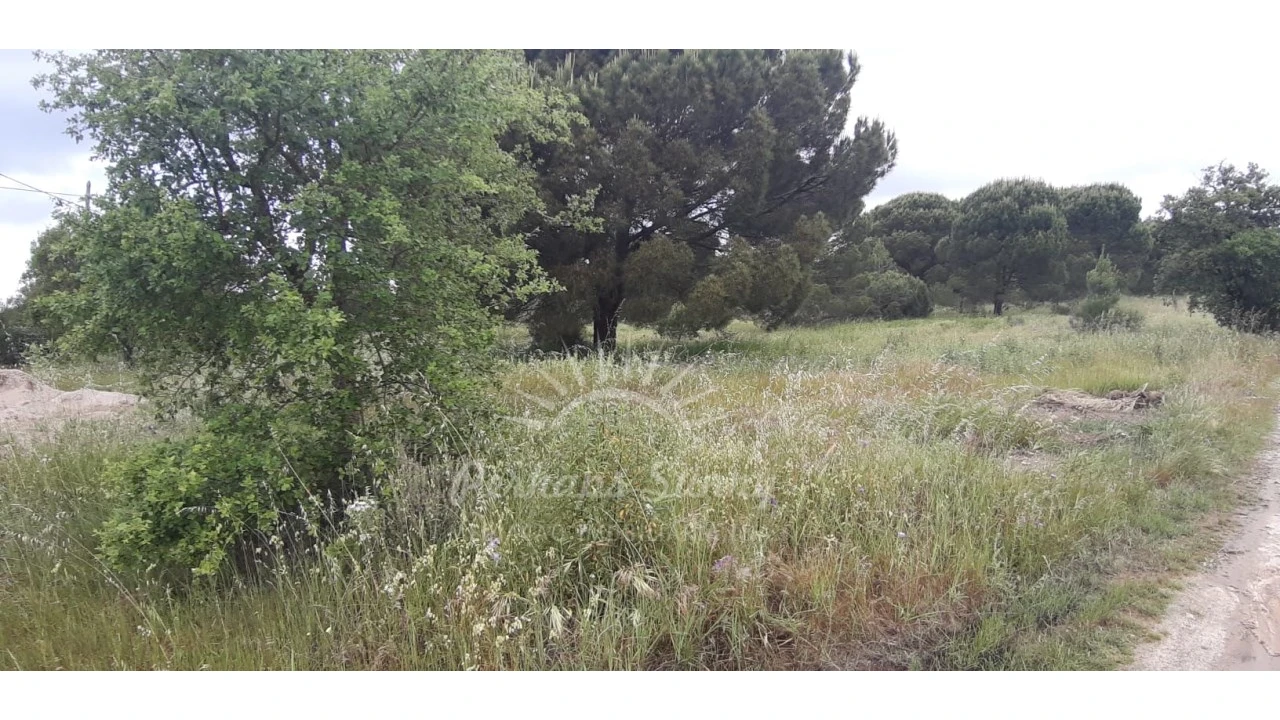 Terreno Agricola ou Rústico para Venda em Melides Foto 6