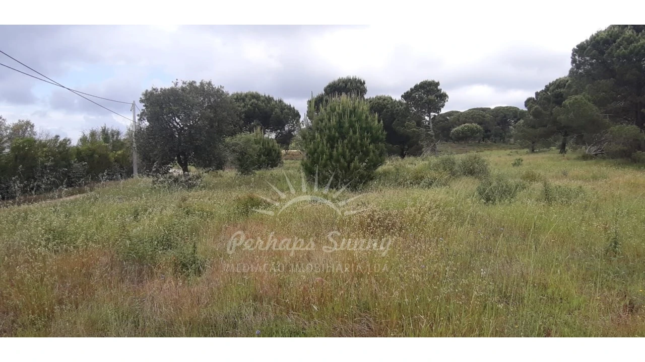 Terreno Agricola ou Rústico para Venda em Melides Foto 7