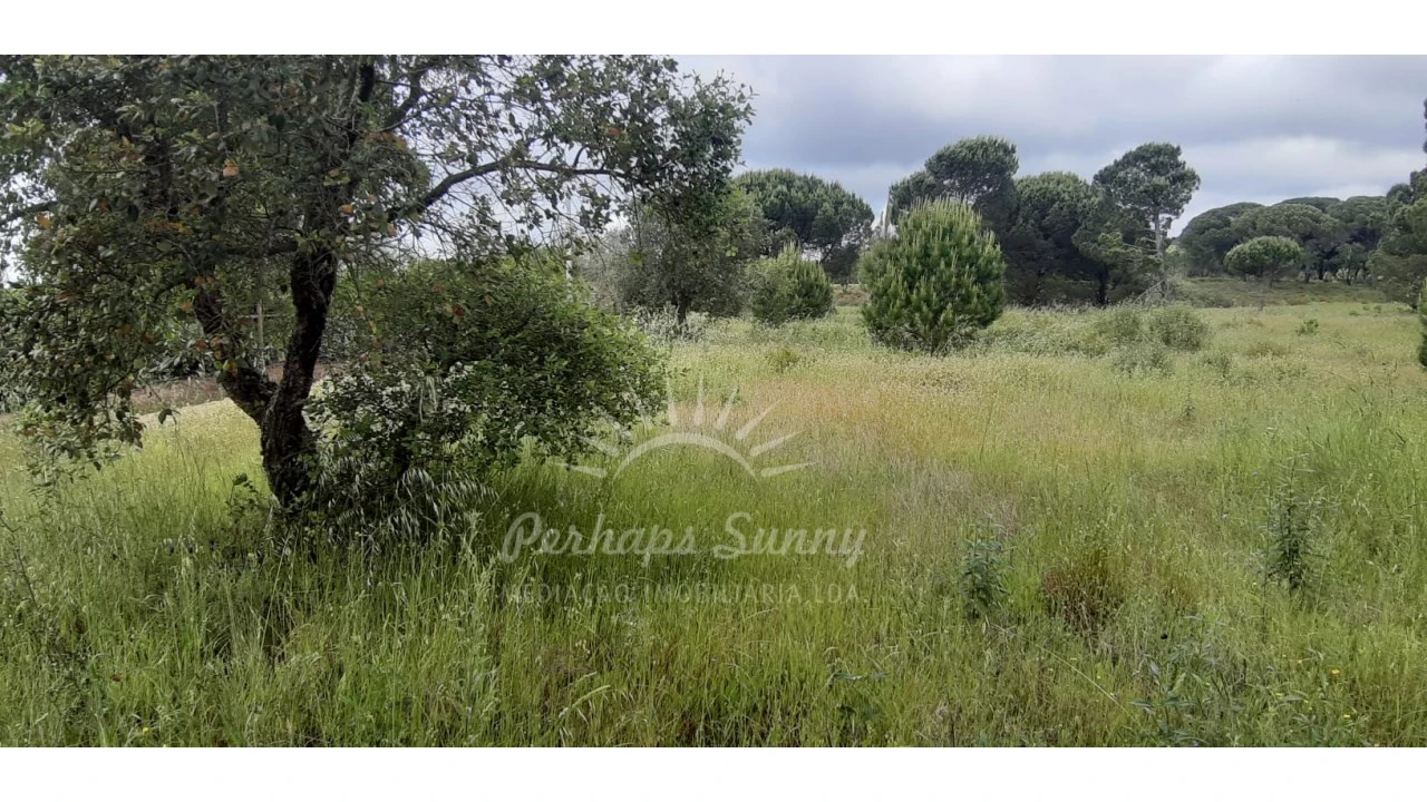 Terreno Agricola ou Rústico para Venda em Melides Foto 2