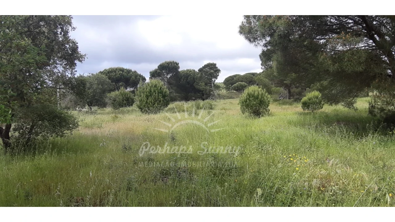 Terreno Agricola ou Rústico para Venda em Melides Foto 11