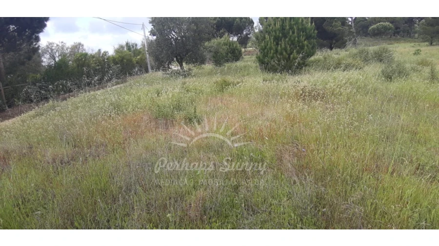 Terreno Agricola ou Rústico para Venda em Melides Foto 4