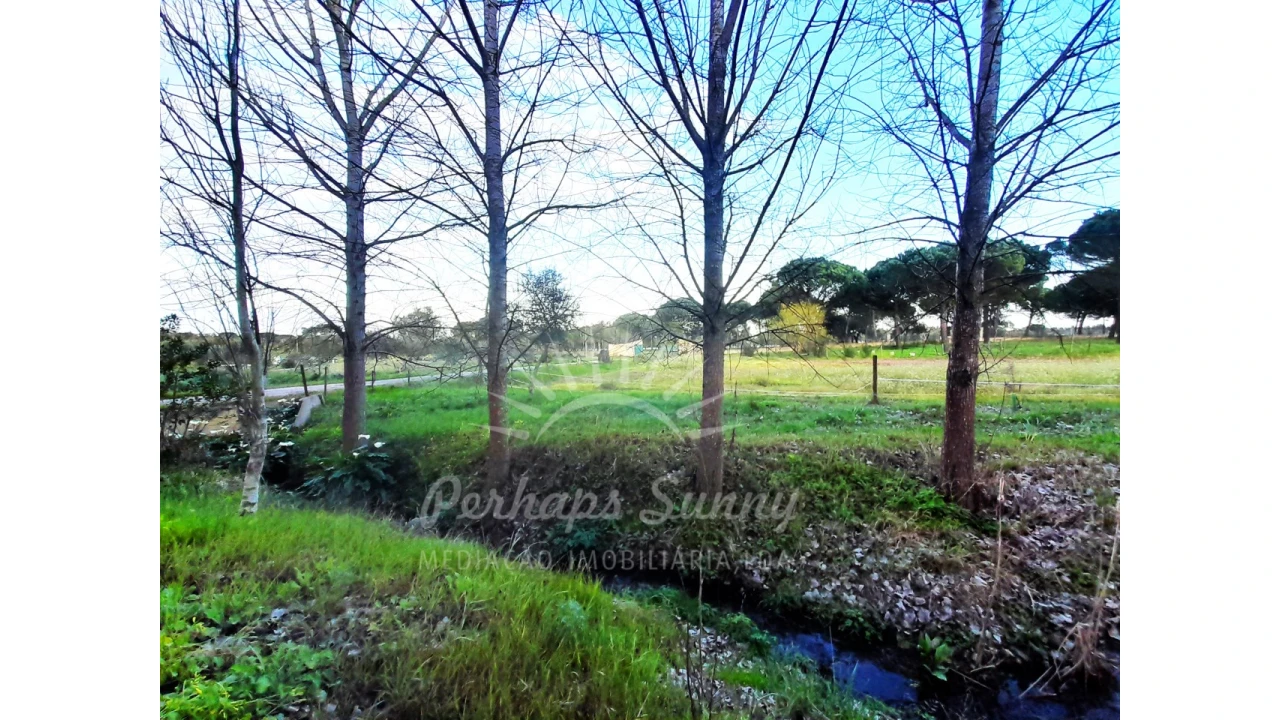 Quinta T3 para Venda em Grândola e Santa Margarida da Serra Foto 11