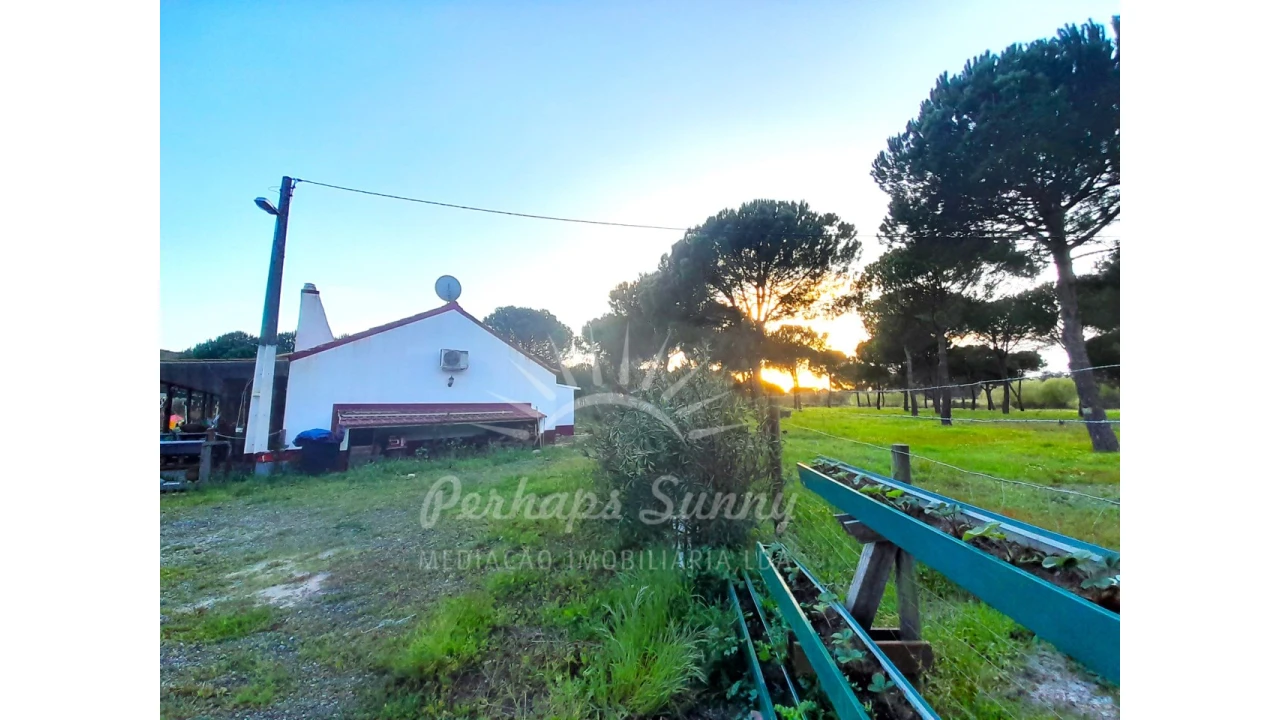 Quinta T3 para Venda em Grândola e Santa Margarida da Serra Foto 16