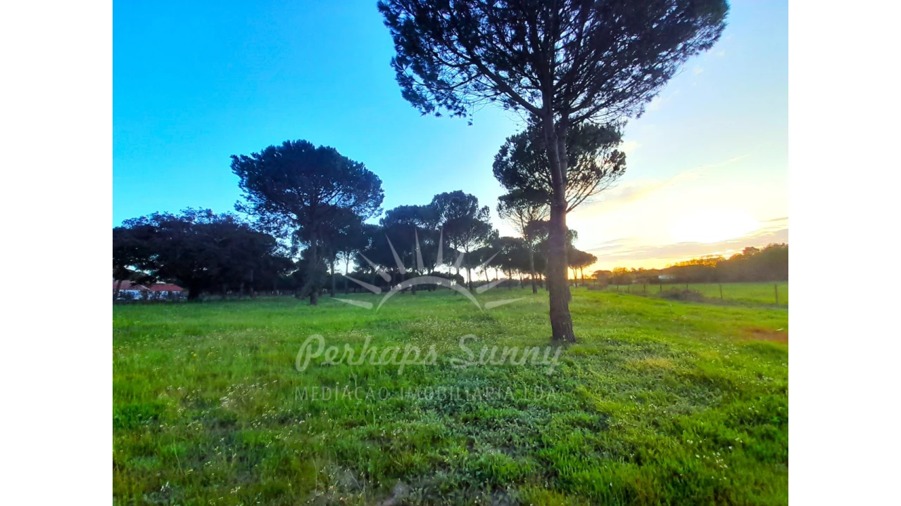Quinta T3 para Venda em Grândola e Santa Margarida da Serra Foto 26