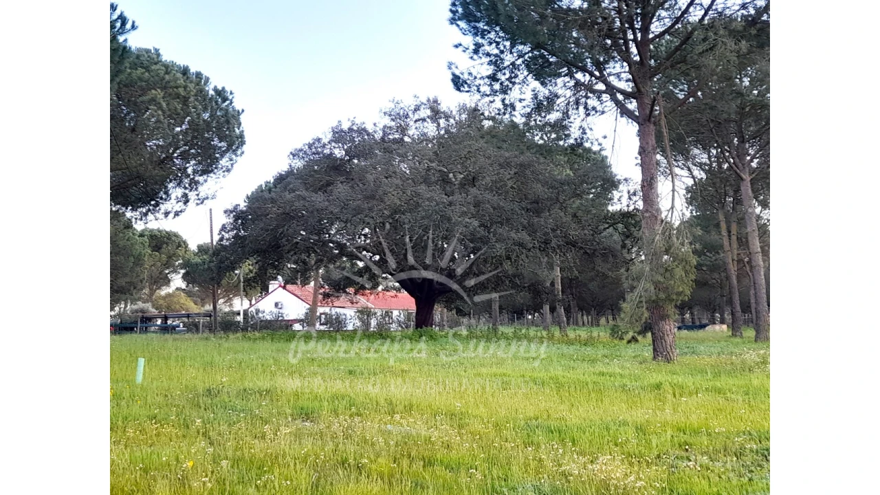 Quinta T3 para Venda em Grândola e Santa Margarida da Serra Foto 32