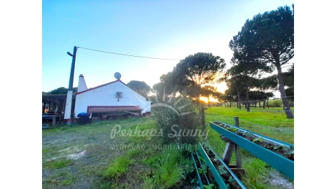 Quinta T3 para Venda em Grândola e Santa Margarida da Serra