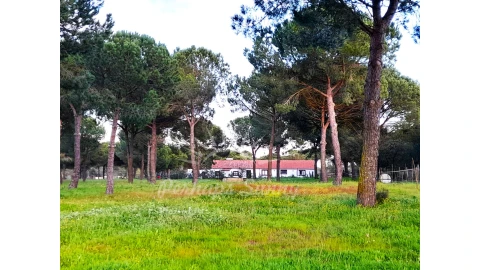 Quinta T3 para Venda em Grândola e Santa Margarida da Serra