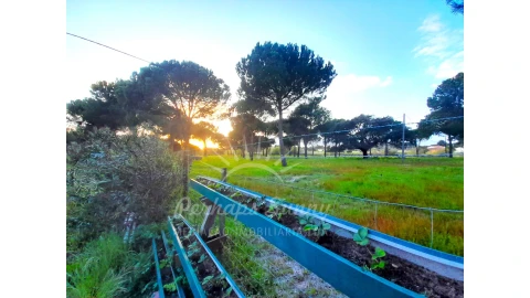 Quinta T3 para Venda em Grândola e Santa Margarida da Serra