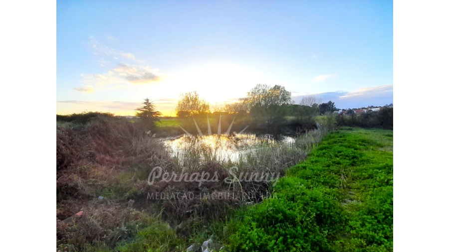 Quinta T3 para Venda em Grândola e Santa Margarida da Serra Foto 3