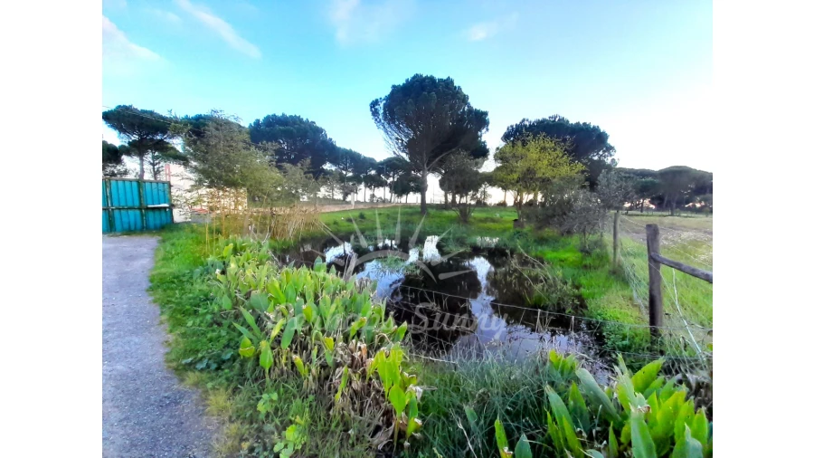 Quinta T3 para Venda em Grândola e Santa Margarida da Serra Foto 6