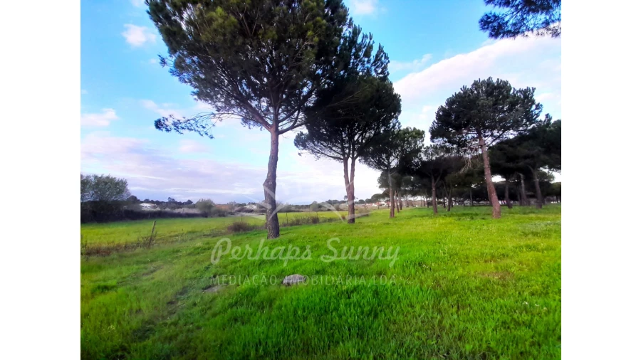 Quinta T3 para Venda em Grândola e Santa Margarida da Serra Foto 21