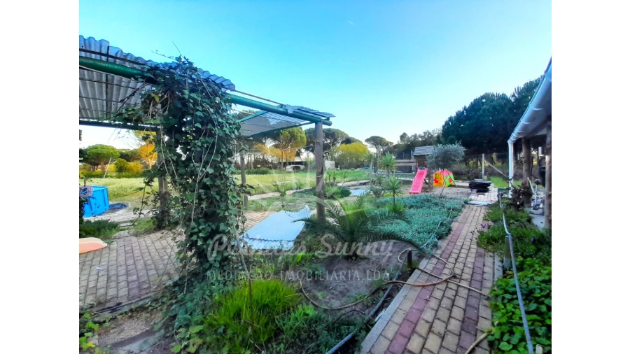 Quinta T3 para Venda em Grândola e Santa Margarida da Serra Foto 25