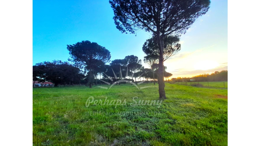 Quinta T3 para Venda em Grândola e Santa Margarida da Serra Foto 26