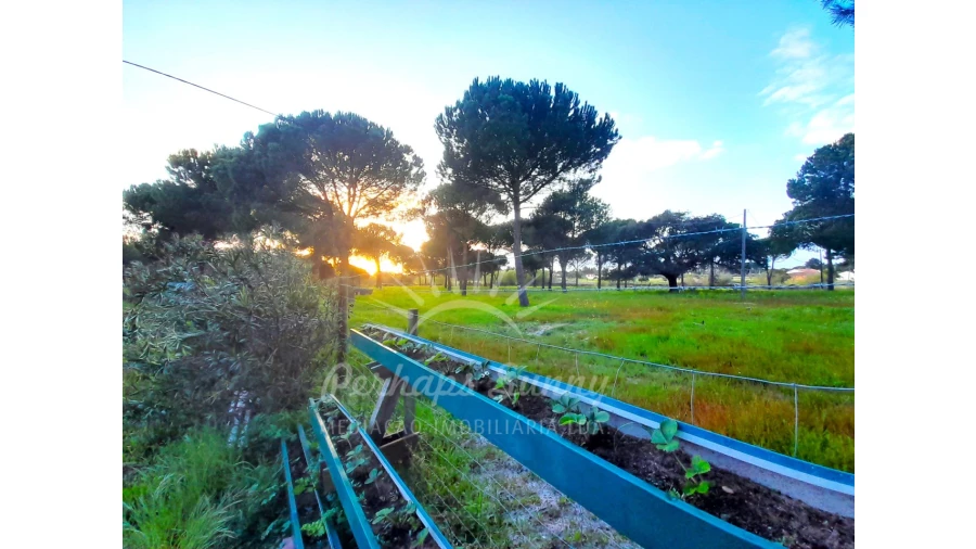 Quinta T3 para Venda em Grândola e Santa Margarida da Serra Foto 30