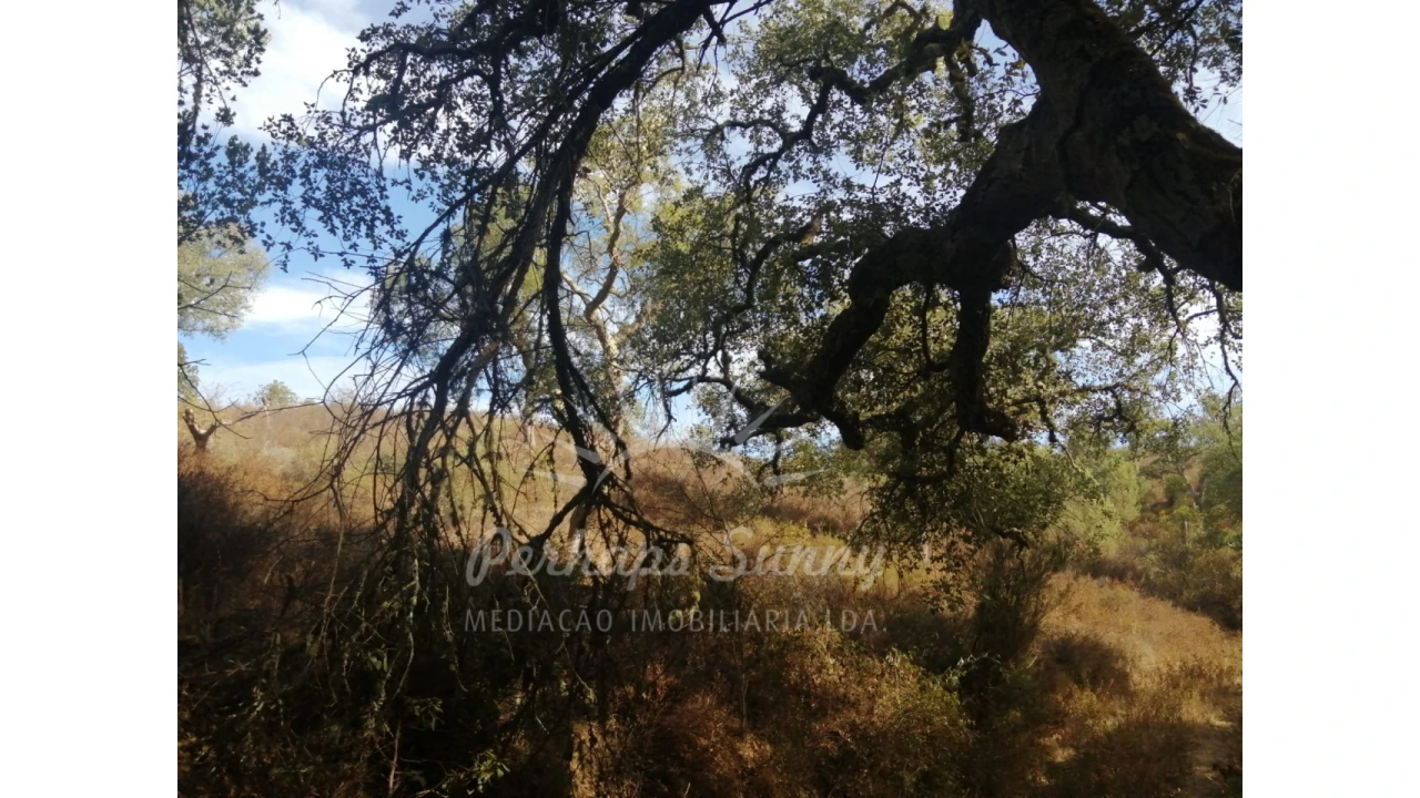 Terreno Agricola ou Rústico para Venda em Grândola e Santa Margarida da Serra Foto 9