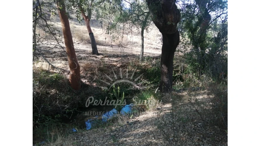 Terreno Agricola ou Rústico para Venda em Grândola e Santa Margarida da Serra Foto 5