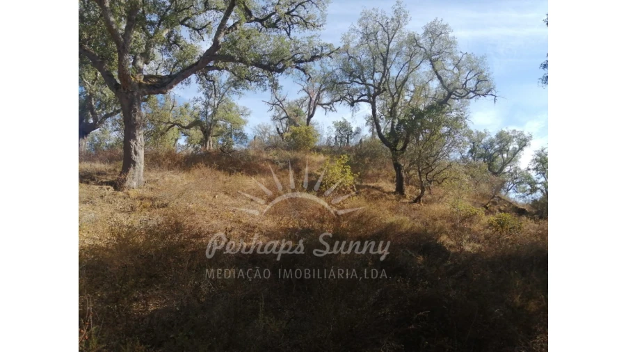 Terreno Agricola ou Rústico para Venda em Grândola e Santa Margarida da Serra Foto 6