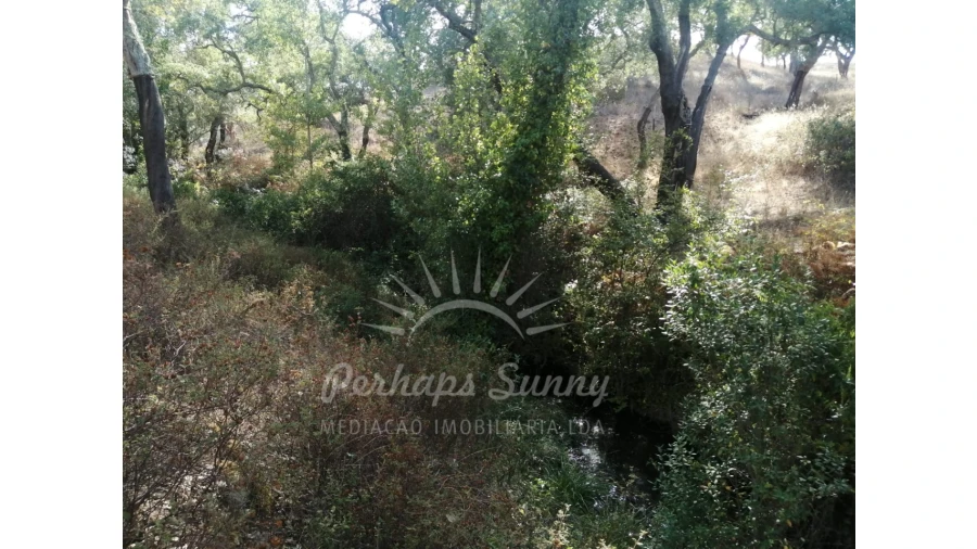 Terreno Agricola ou Rústico para Venda em Grândola e Santa Margarida da Serra Foto 7
