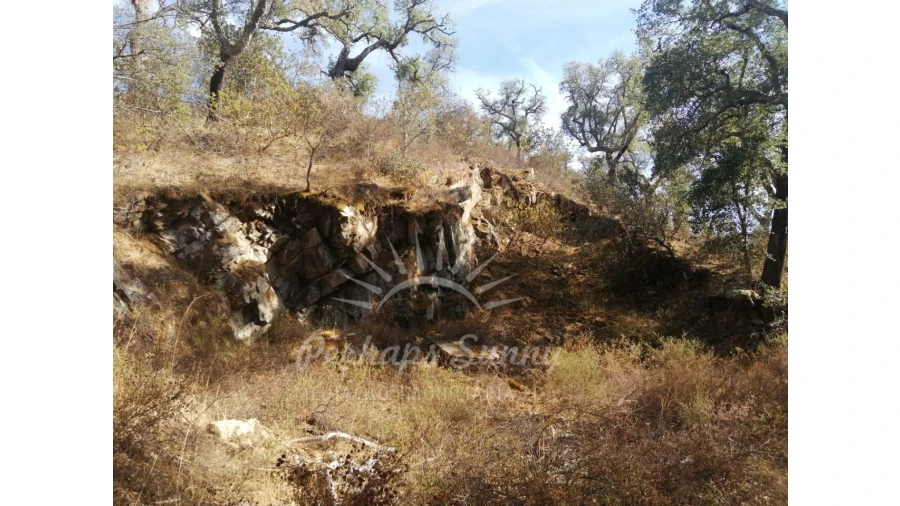 Terreno Agricola ou Rústico para Venda em Grândola e Santa Margarida da Serra Foto 8