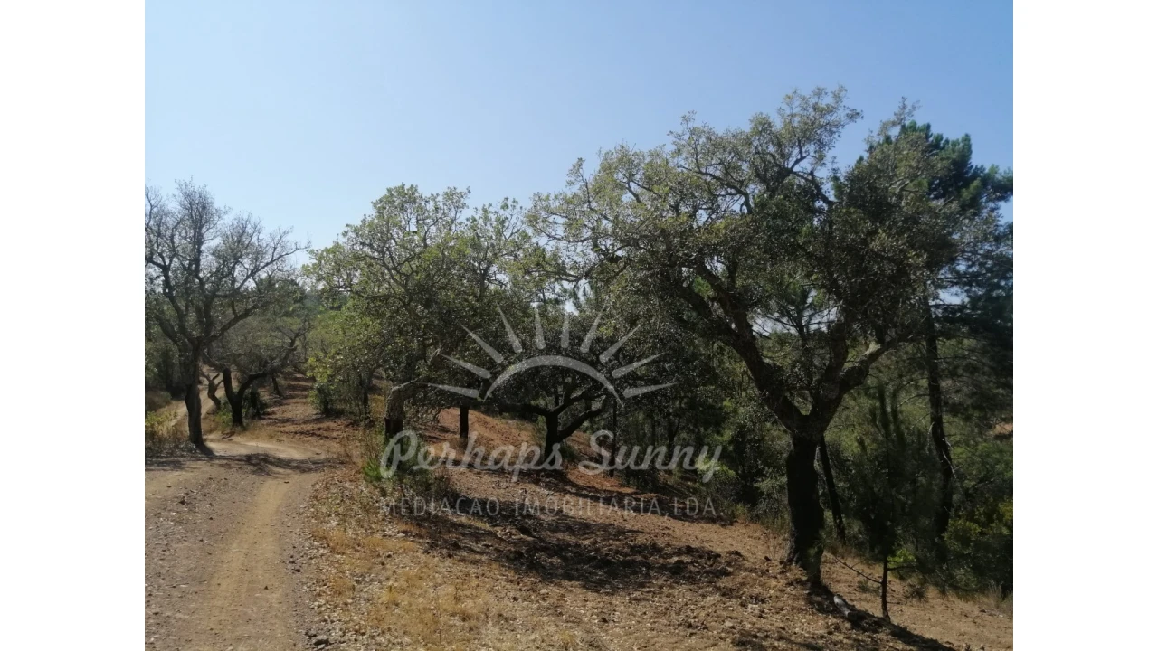 Terreno Agricola ou Rústico para Venda em Grândola e Santa Margarida da Serra Foto 2