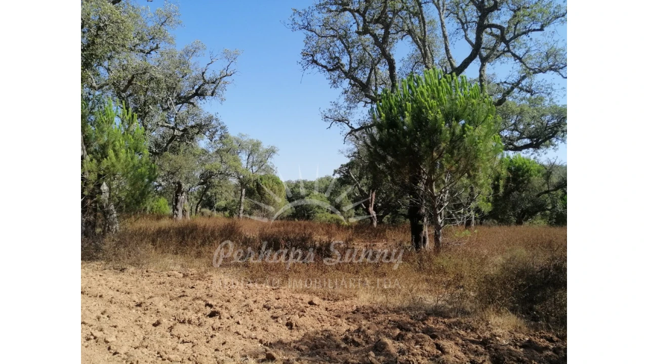 Terreno Agricola ou Rústico para Venda em Grândola e Santa Margarida da Serra Foto 6