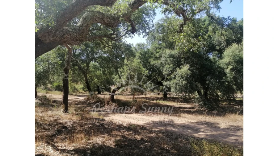 Terreno Agricola ou Rústico para Venda em Grândola e Santa Margarida da Serra
