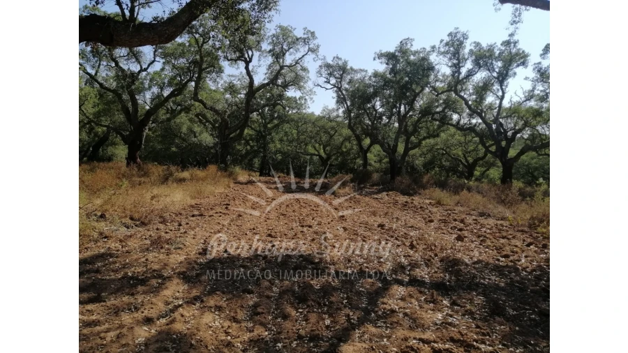 Terreno Agricola ou Rústico para Venda em Grândola e Santa Margarida da Serra Foto 4