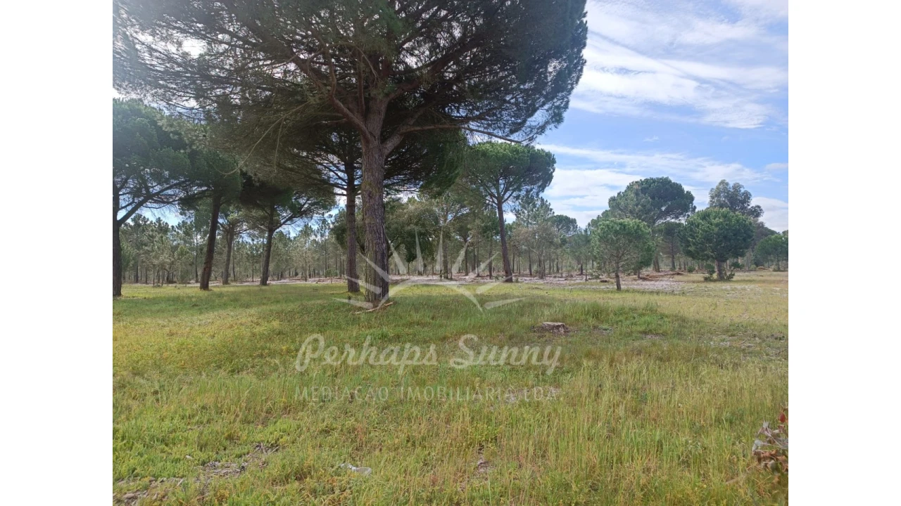 Terreno Agricola ou Rústico para Venda em Grândola e Santa Margarida da Serra Foto 1