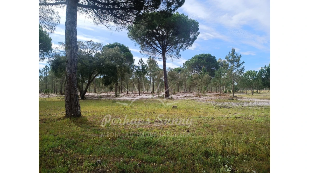 Terreno Agricola ou Rústico para Venda em Grândola e Santa Margarida da Serra Foto 10