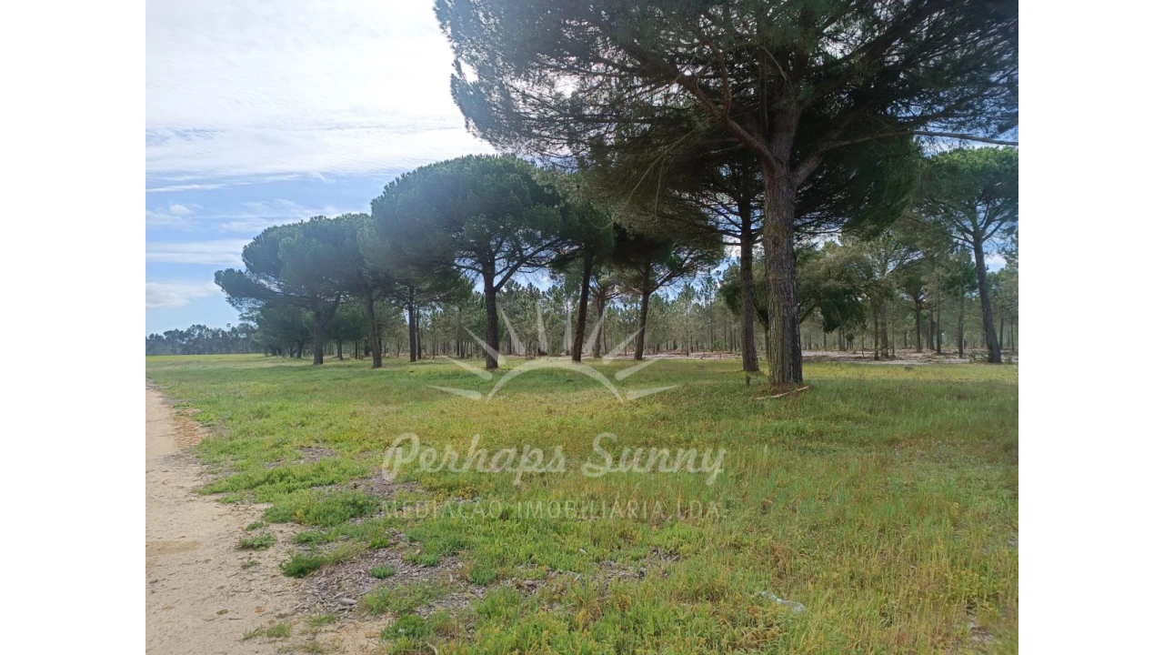 Terreno Agricola ou Rústico para Venda em Grândola e Santa Margarida da Serra Foto 5