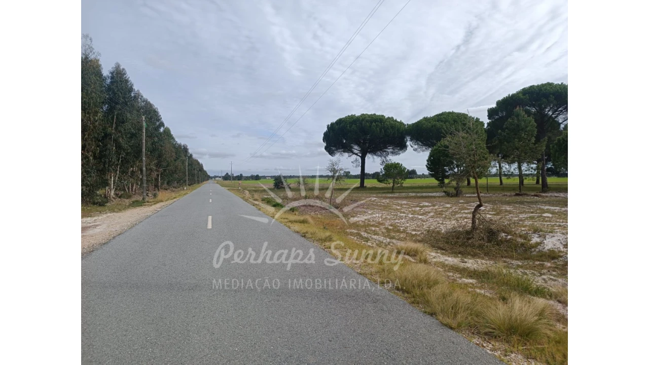 Terreno Agricola ou Rústico para Venda em Grândola e Santa Margarida da Serra Foto 6