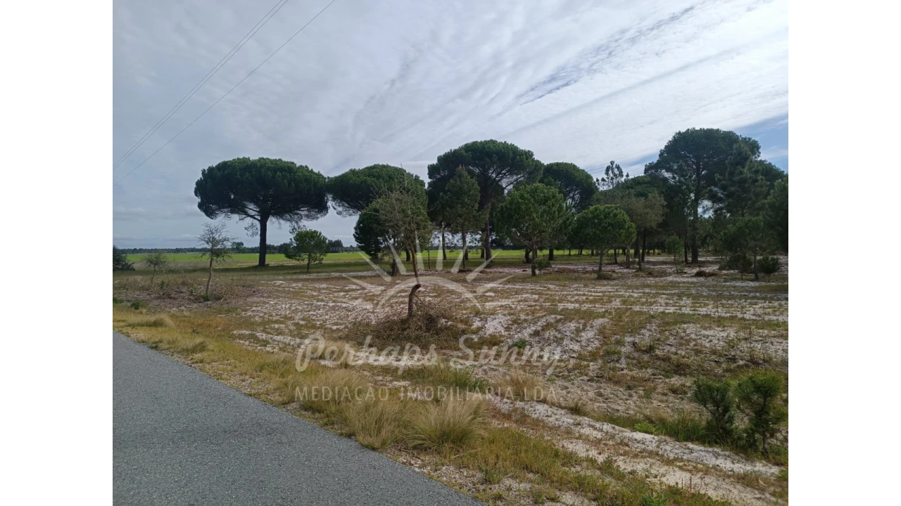 Terreno Agricola ou Rústico para Venda em Grândola e Santa Margarida da Serra Foto 9